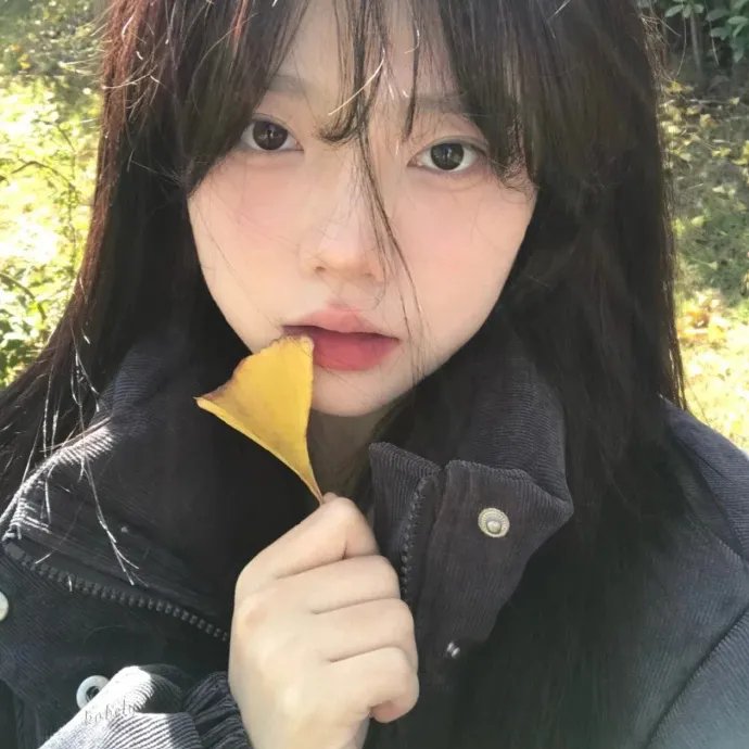 完美配对谋杀案